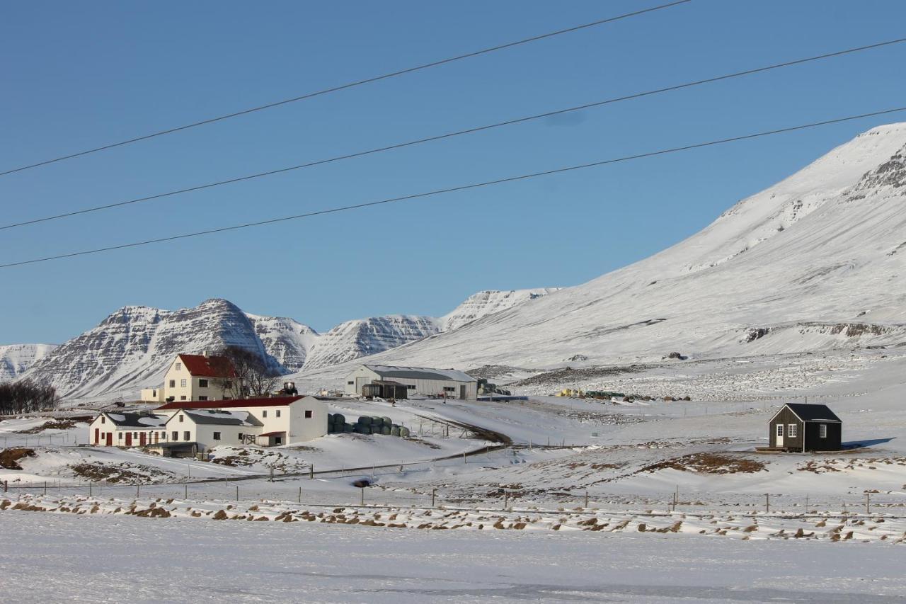 Solheimagerthi Guesthouse فارماهليد المظهر الخارجي الصورة